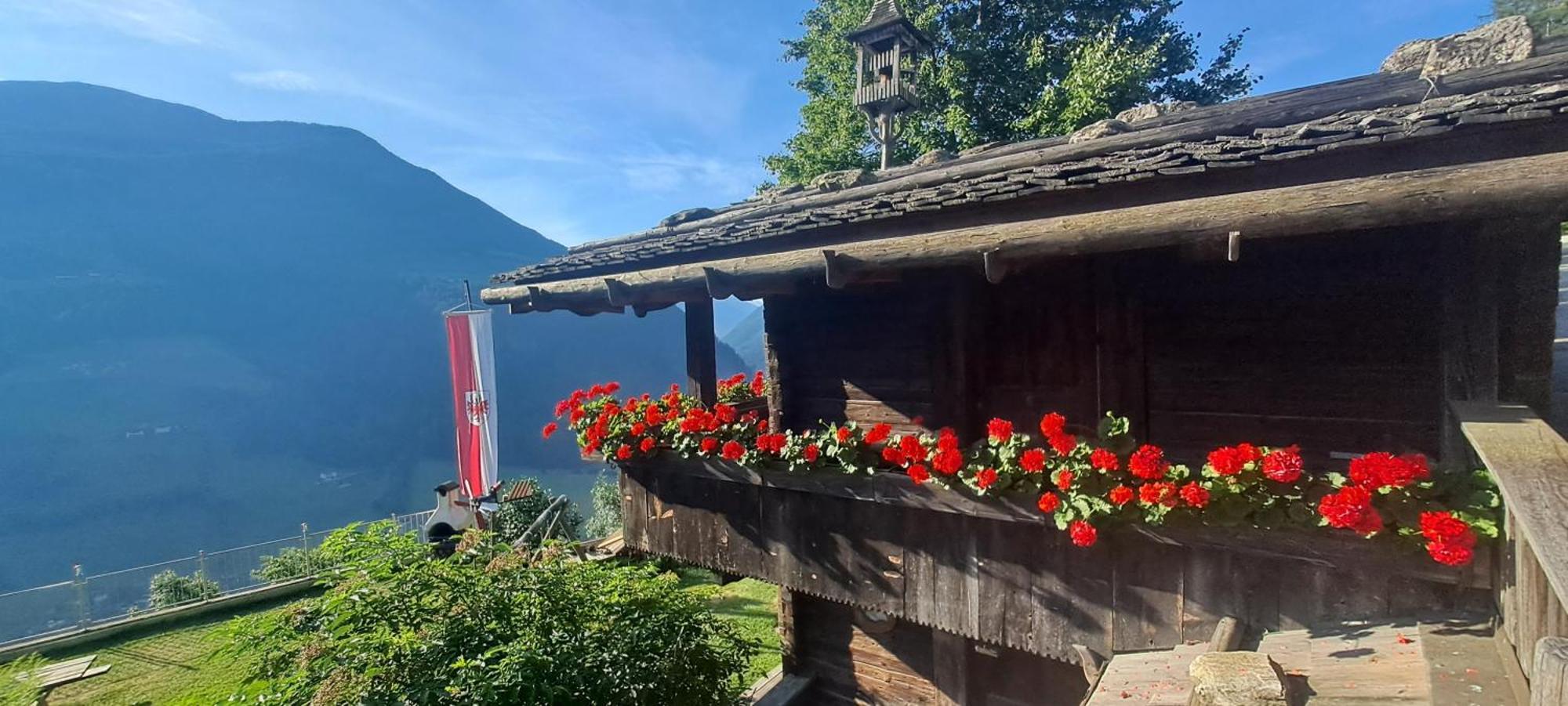 Grossstahlhof Mountain & Panorama View Lägenhet Ahrntal Exteriör bild